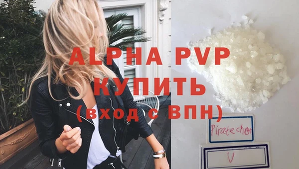 индика Приозерск