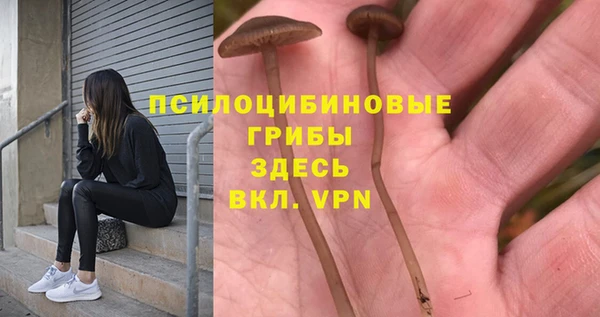 Альфа ПВП Покровск