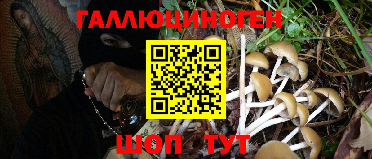 Галлюциногенные грибы GOLDEN TEACHER Кольчугино