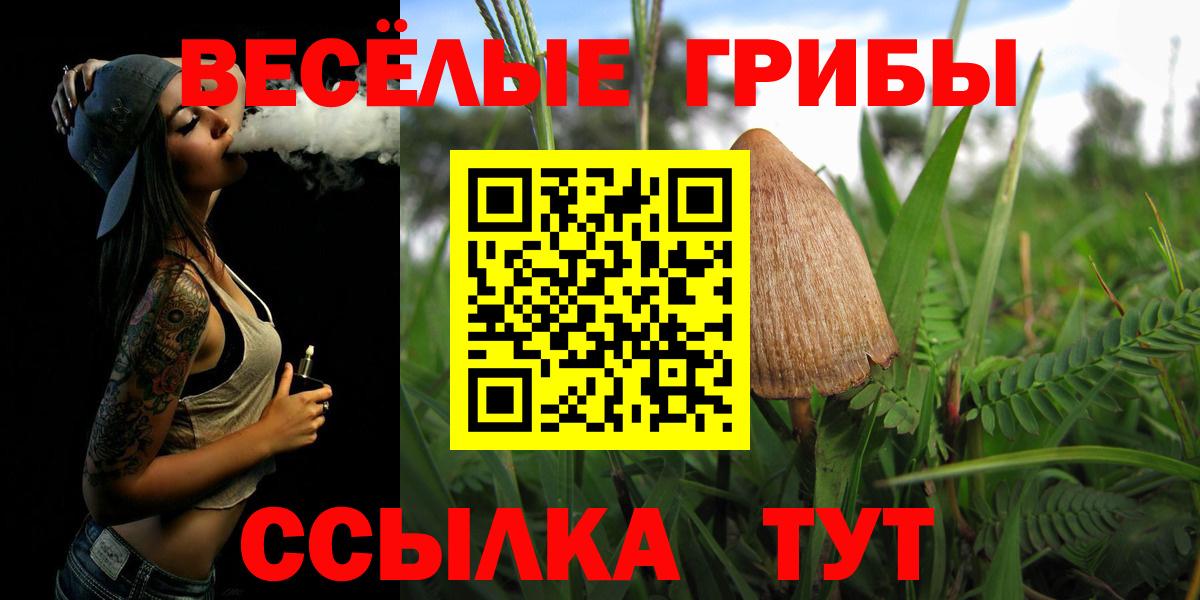 Кольчугино  Псилоцибиновые грибы Psilocybe  Вход с VPN  Галлюциногенные грибы ЛСД 