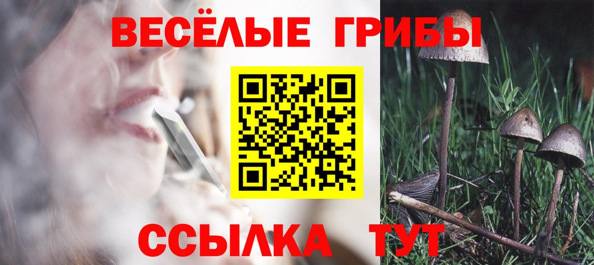 Лсд 25  Бошки Шишки  Гашиш  Магазин наркотиков  COCAIN  Вход с VPN  Меф МЯУ МЯУ кристаллы  Кольчугино  A PVP СК кристаллы 