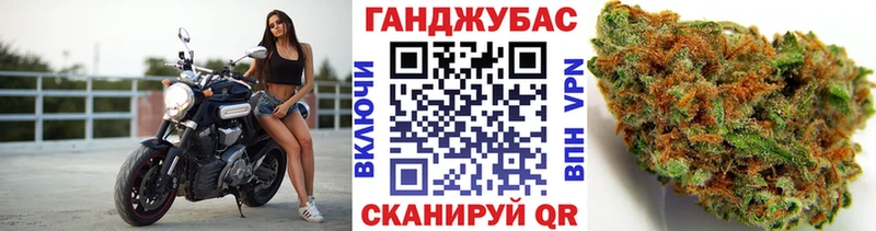Конопля конопля Кольчугино